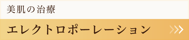 エレクトロポーレーション