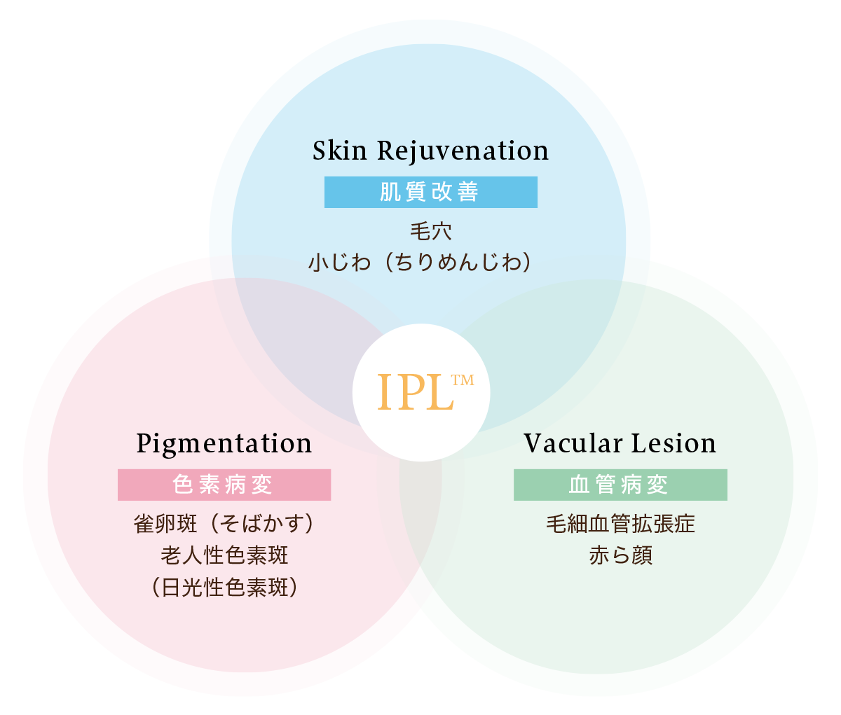 フォトフェイシャルで改善できる複合的なスキントラブルのイメージ