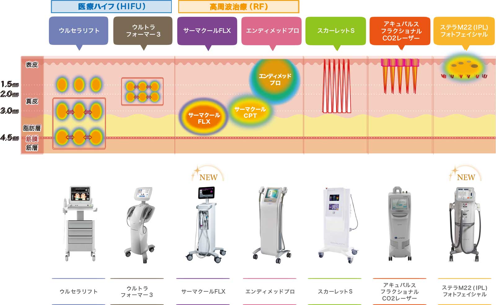 ウルセラなどの施術による皮膚断面のイメージ図