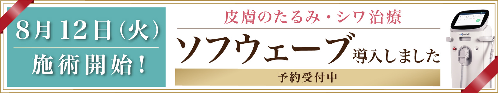 ソフウェーブ導入しました