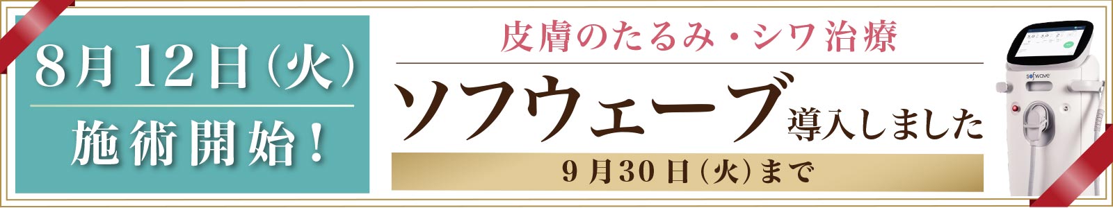 ソフウェーブ導入しました