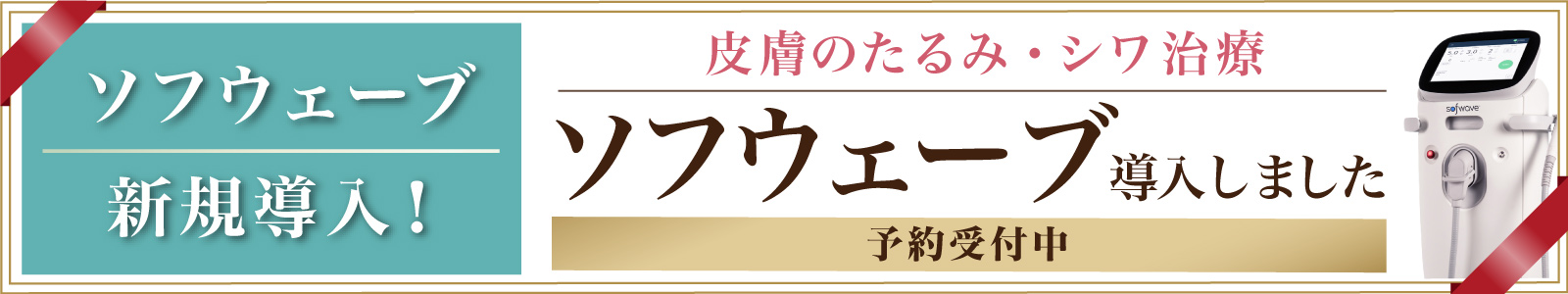 ソフウェーブ導入しました